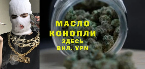 мдпв Ельня