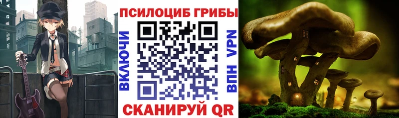 Галлюциногенные грибы Magic Shrooms Липецк